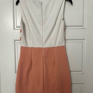 Women’s business dress Sheath